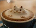 漫猫咖啡