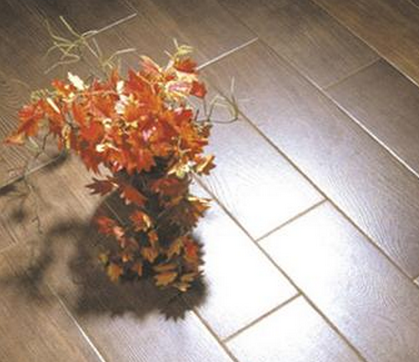 东鹏瓷木地板