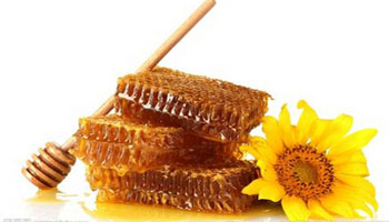 喜马拉雅排蜂蜜