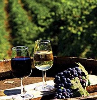 灌木庄园葡萄酒