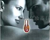 上海嘉妮诗化妆品有限公司宣传海报