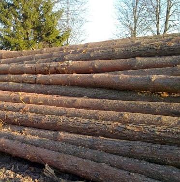 泰和县方圆木业有限公司木头