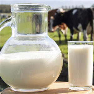 长江牛奶优质