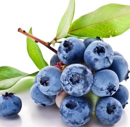 辉南县共赢蓝莓种植专业合作社宣传