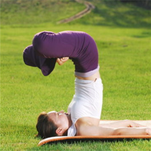 wya阿斯汤伽瑜伽有助于调节体脂