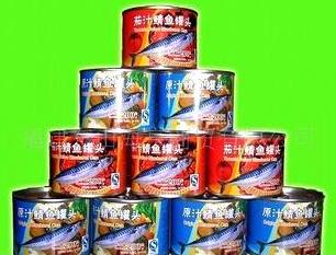 海亨厂家直销 较实惠的价格 批发 茄汁鲭鱼