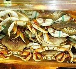 杭州农副产品物流中心水产品批发市场海成水产行蟹类
