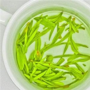 绿雪芽绿茶