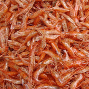 海河食品虾类
