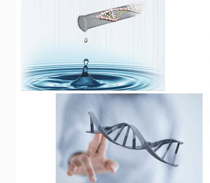 爱因基因宣传海报