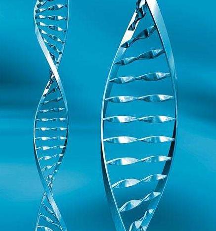起源基因基因链