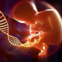 胎儿无创基因