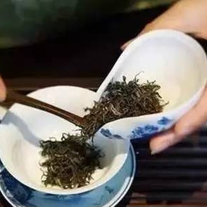 福道茶业泡茶