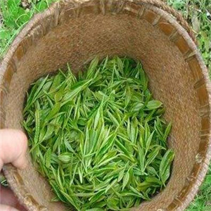 八角亭普洱茶绿茶