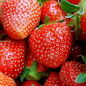 百果鲜水果店草莓