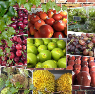 阿里山果业品种丰富