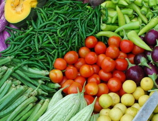 争取降低成本蔬菜行