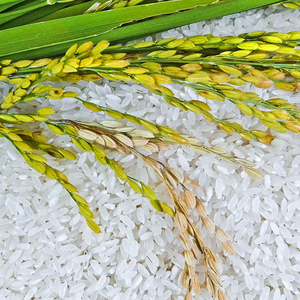 百谷香米铺优质大米