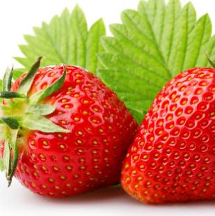 本福果品草莓