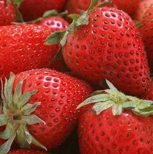 巴比特馒头四季水果草莓