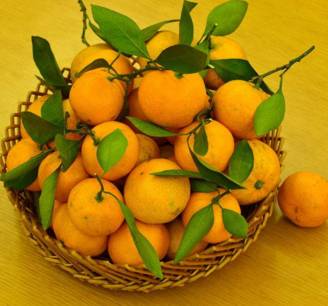 柏桦水果超市橘子