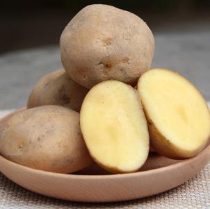 北林富硒农产品销售土豆
