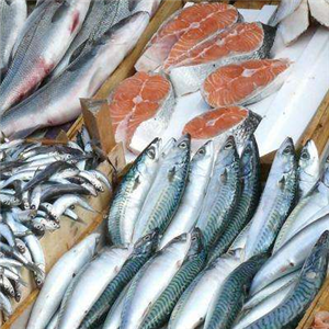 珍珠岛水产品鱼