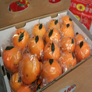 阿毛水果橙子