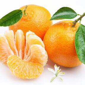 艾果道果品橘子