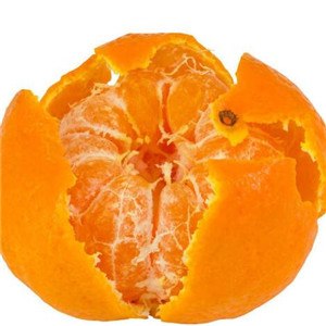 桉荭贸易橘子