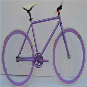 新特狮紫色自行车