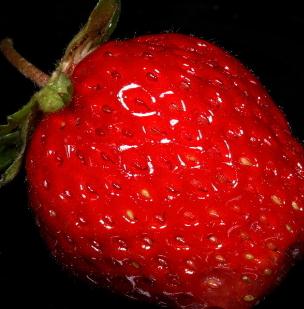 焙果园草莓