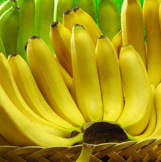 爱果庄园新鲜香蕉
