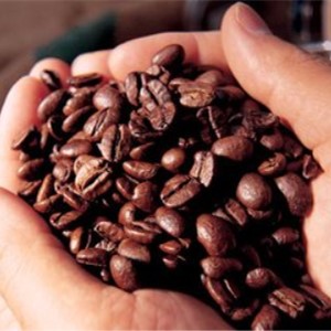 半客咖啡咖啡豆