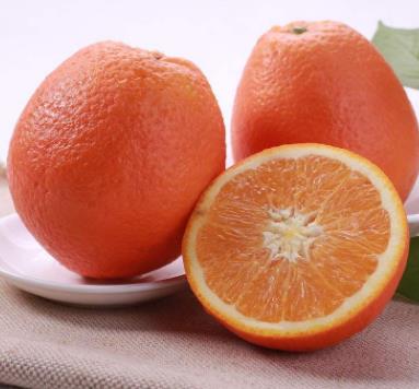 阳光菜园橙子