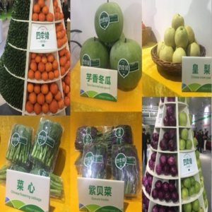 四季绿农产品水果