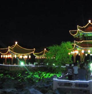 安龙荷花节夜景