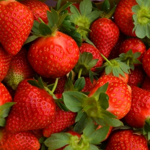 四季鲜果草莓