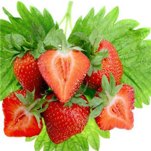 鲜果快线草莓