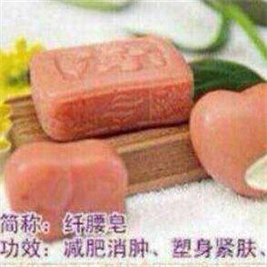 褐果果皂有助于调节体脂