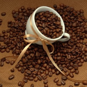 第五频道咖啡豆