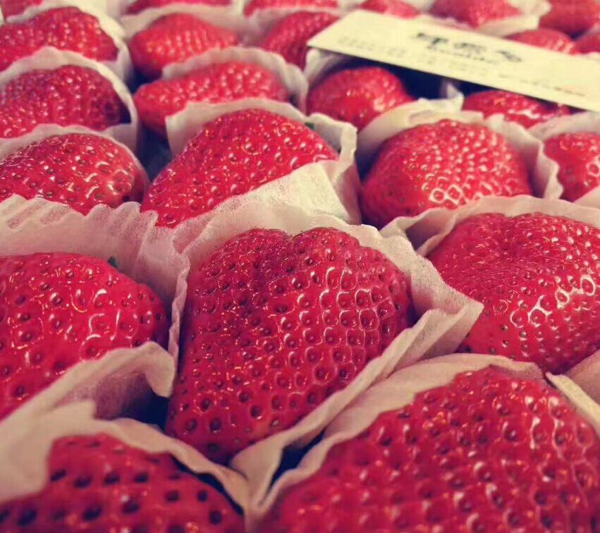 果爱多草莓