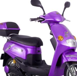 捷安特电动车紫色