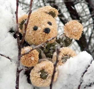O.Bear玩具可爱熊