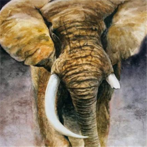 艺高艺术大象