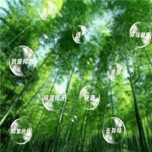 上海竹纤维竹林