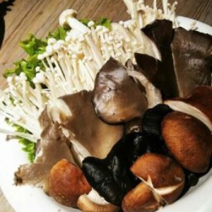 潮新鲜牛肉火锅香菇