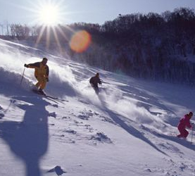 亚布力滑雪场活动