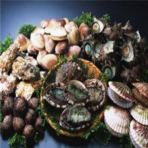 亚马逊海鲜自助餐厅贝壳