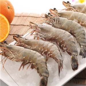  South aquatic product shrimp